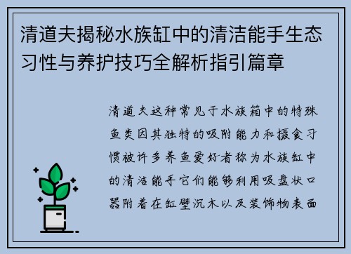 清道夫揭秘水族缸中的清洁能手生态习性与养护技巧全解析指引篇章